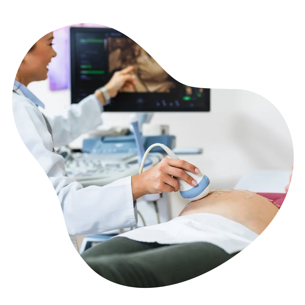 Pregnancy CD Ultrasound